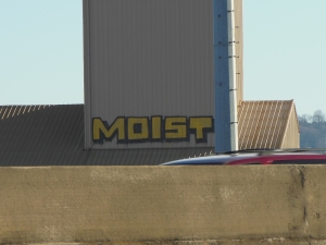 moist 004